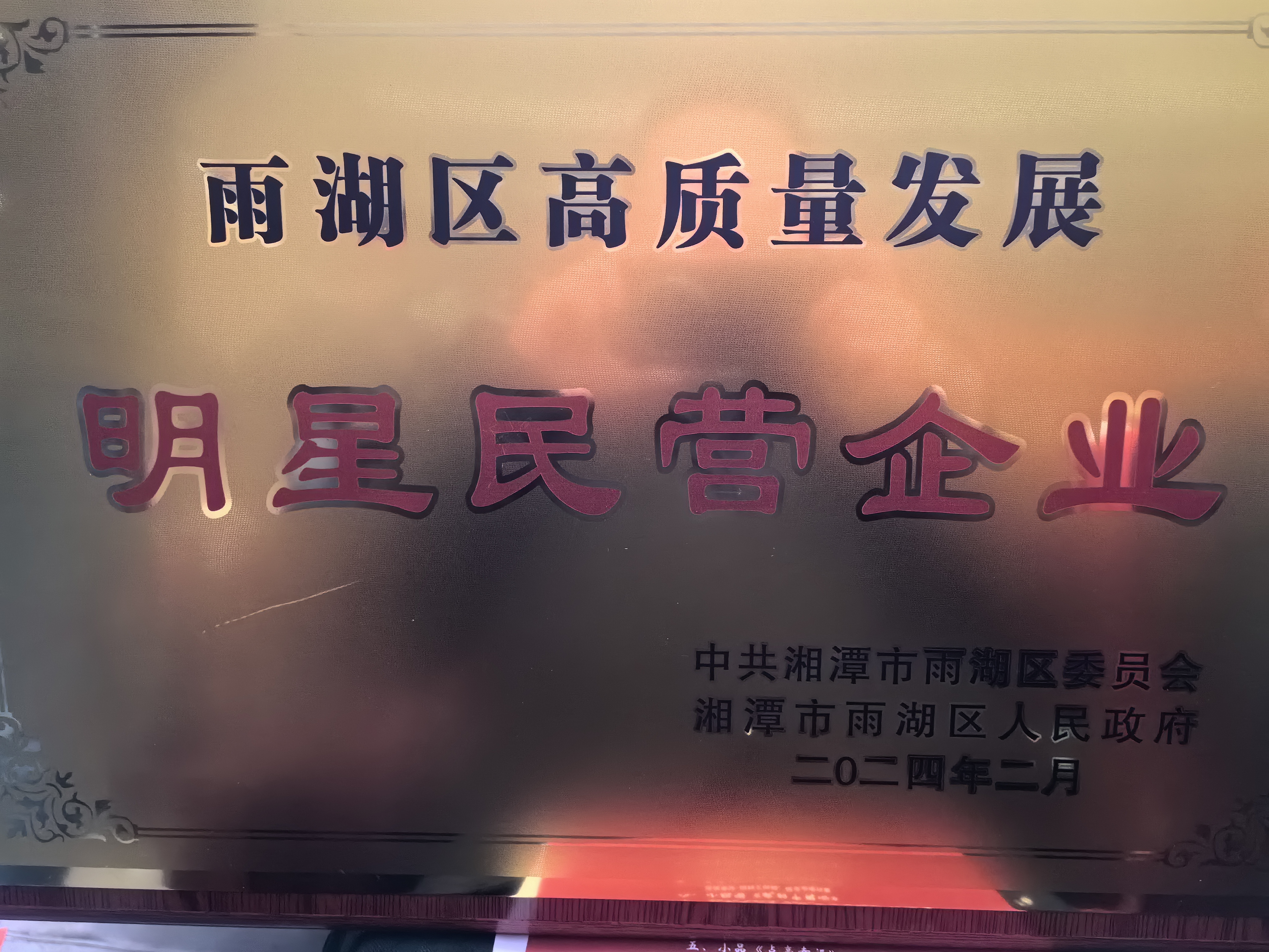 雷火在线荣获“雨湖区高质量发展明星民营企业”称号